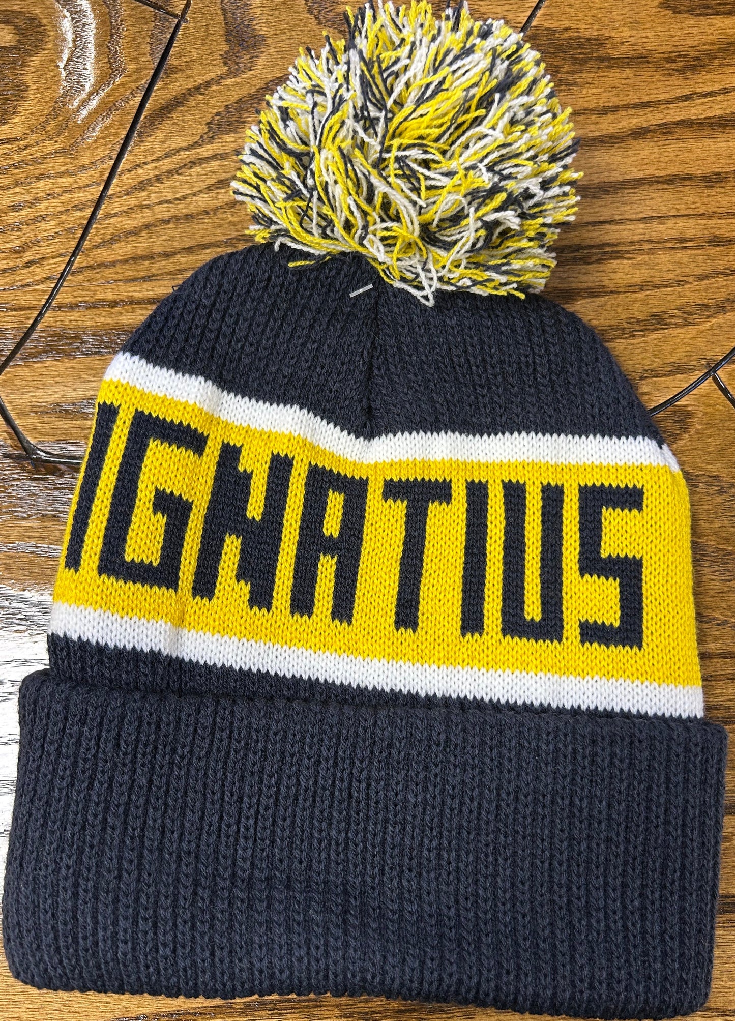 LogoFit Navy Pom Hat